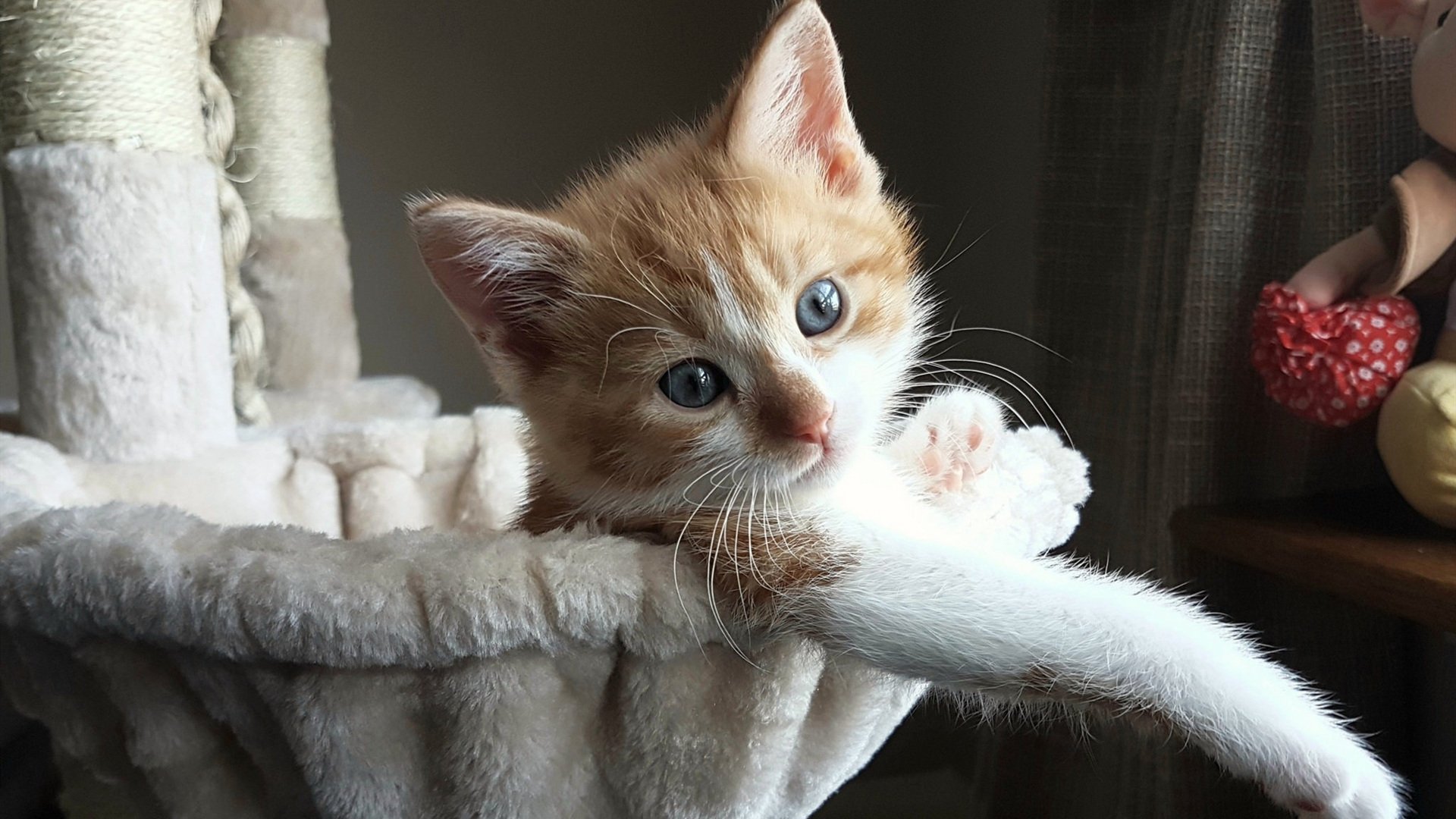 可持续材料在赛车制造中的创新应用，可持续的材料有哪些