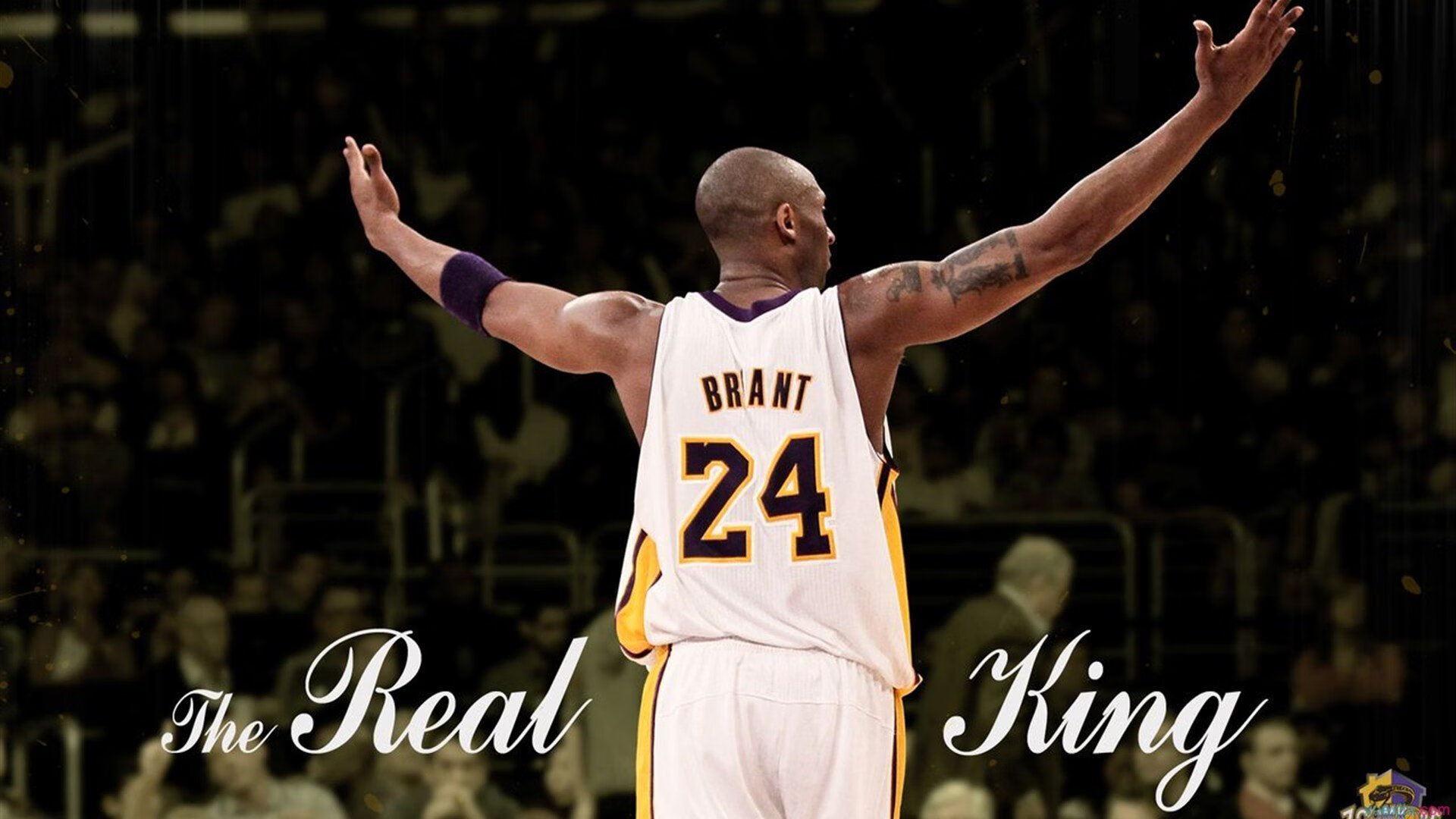 霍勒迪谈攻守两端需更加专注，霍勒迪防守能力