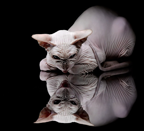 《2025全球英雄联盟夏季赛决赛，T1逆风翻盘夺冠》，英雄联盟2020全球总决赛结果