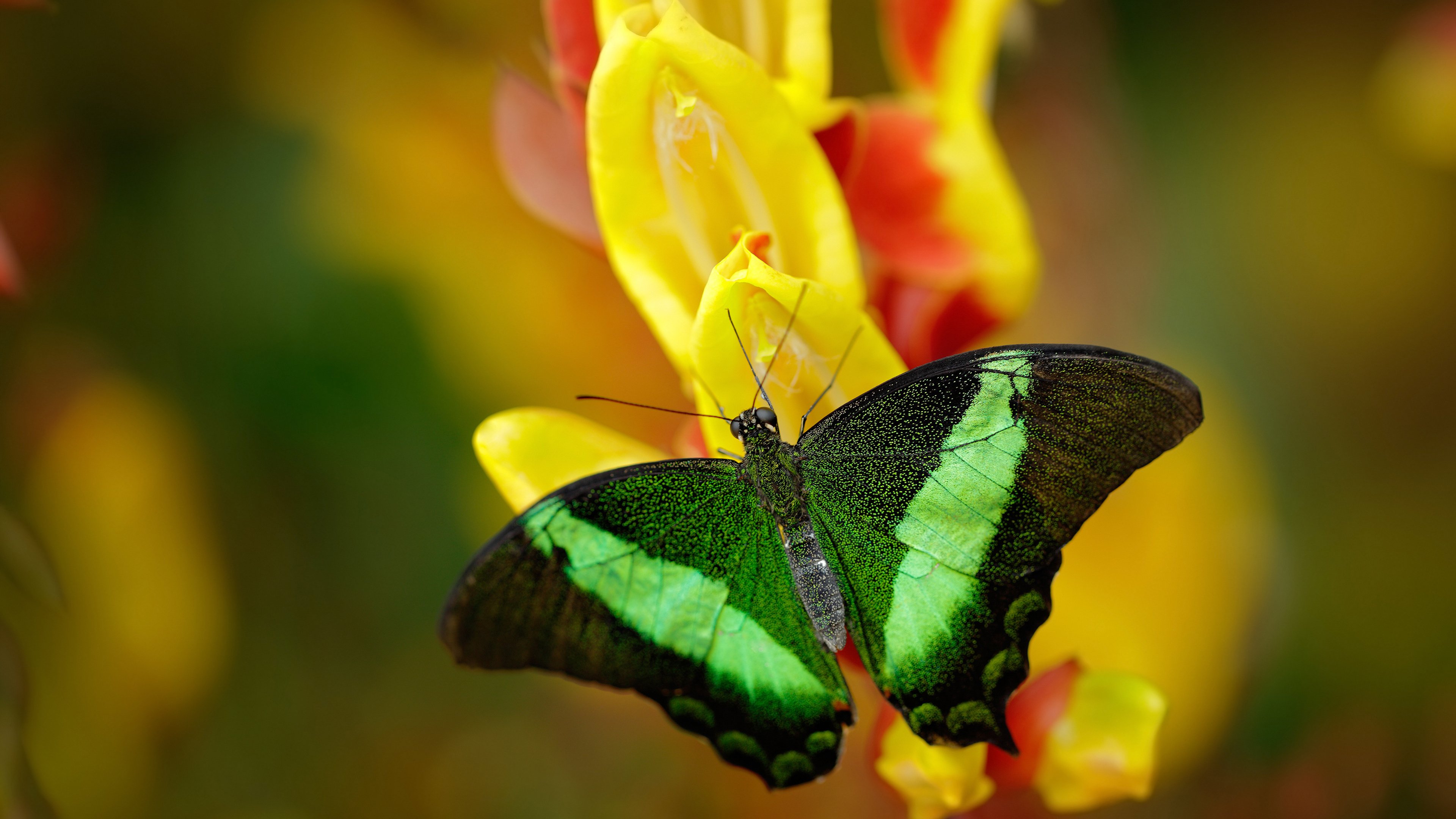 《《使命召唤:现代战争3》强化枪械系统,体验更真实》,使命召唤现代战争3剧情攻略