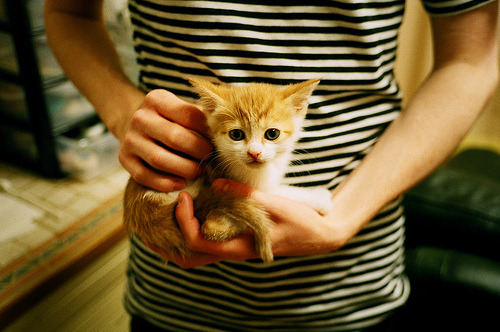 全国足球文化旅游示范线正式发布，为城市发展赋能，全国足球特色园系统平台